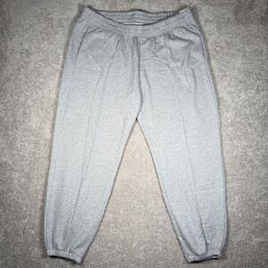 NWT Nike Women's XXL Grey Sweatpants Joggers Fleece Lined Casual Athleisure XXL